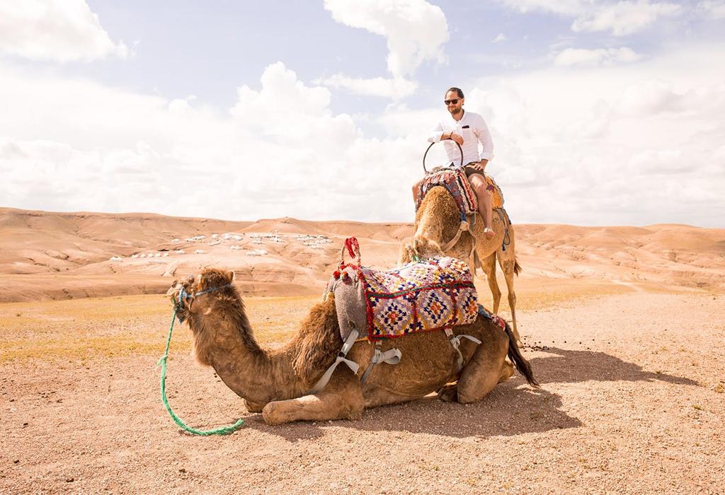 Agafay Camel Tour - Raid Buggy Maroc